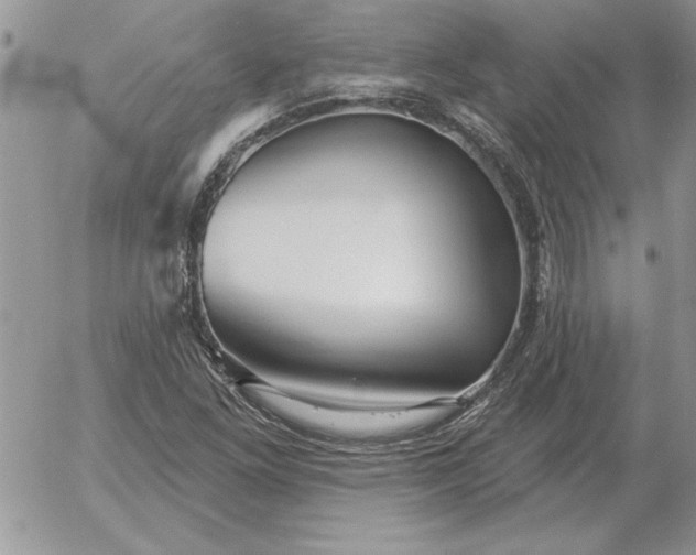 X0000052981261200507221318