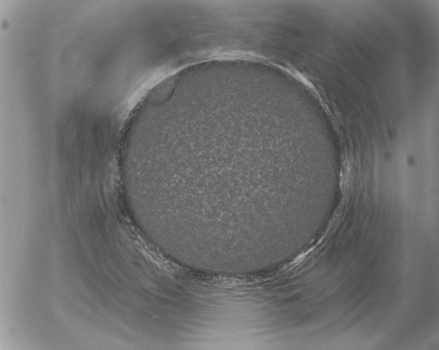 X0000052981263200507221318