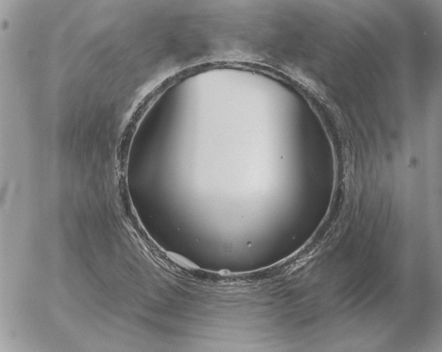 X0000052981264200507221318