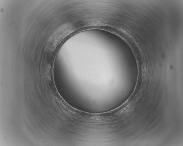 X0000052981265200507221318