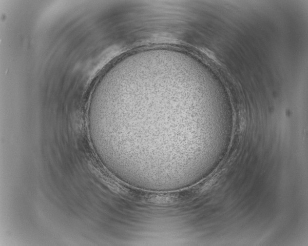 X0000052981266200507221318