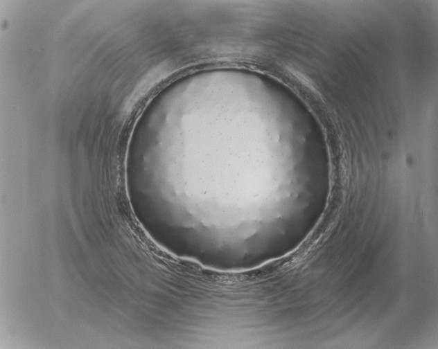 X0000052981267200507221318