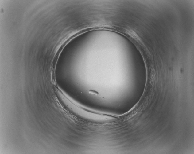 X0000052981268200507221318