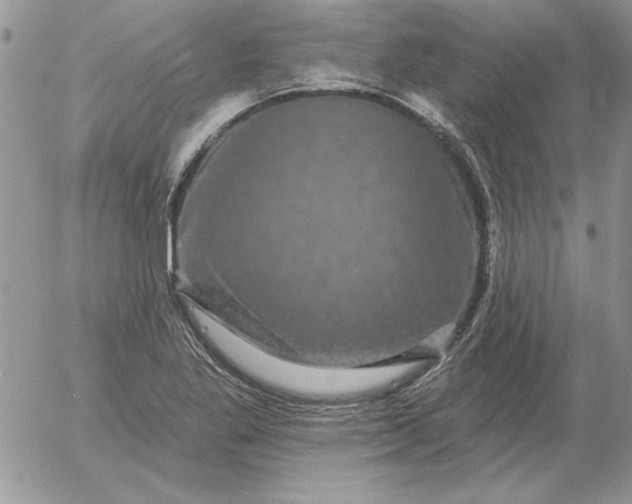 X0000052981269200507221318