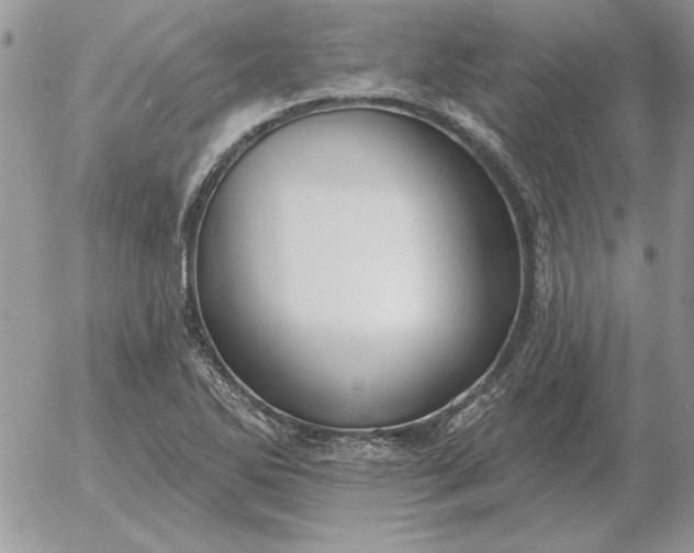 X0000052981270200507221318