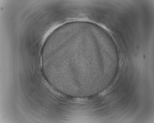 X0000052981271200507221318