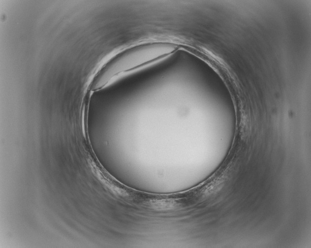 X0000052981272200507221318