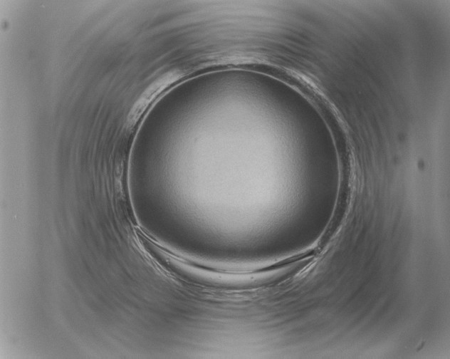 X0000052981273200507221318