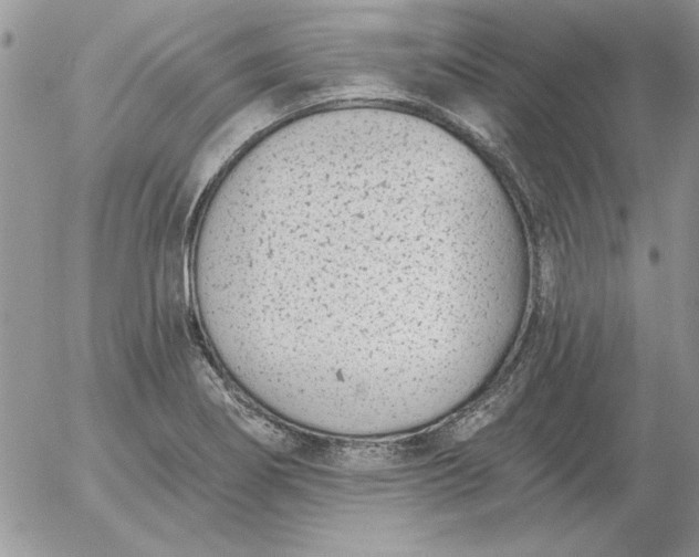 X0000052981274200507221318