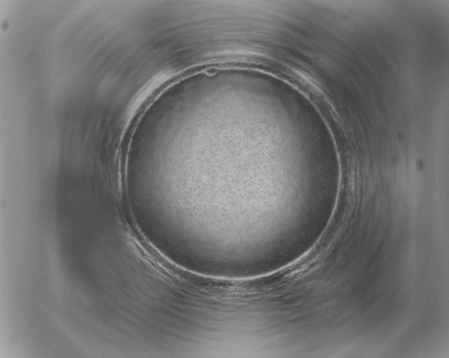 X0000052981275200507221318