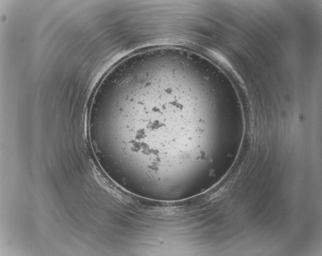 X0000052981276200507221318