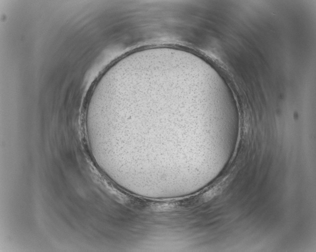 X0000052981278200507221318