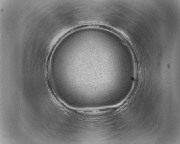 X0000052981279200507221318