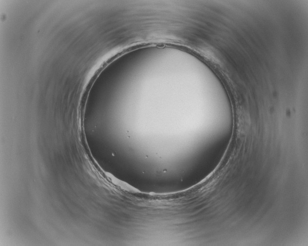 X0000052981280200507221318