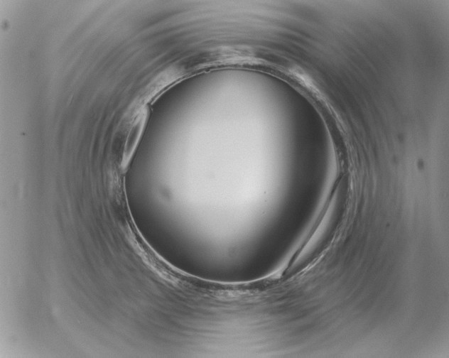 X0000052981281200507221318