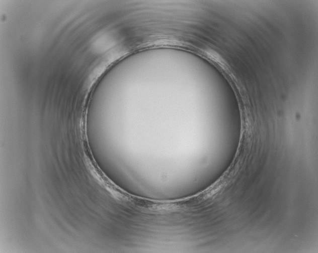 X0000052981282200507221318