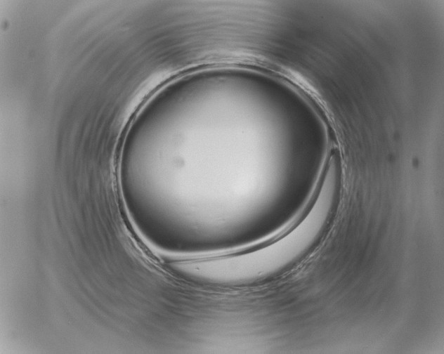 X0000052981283200507221318