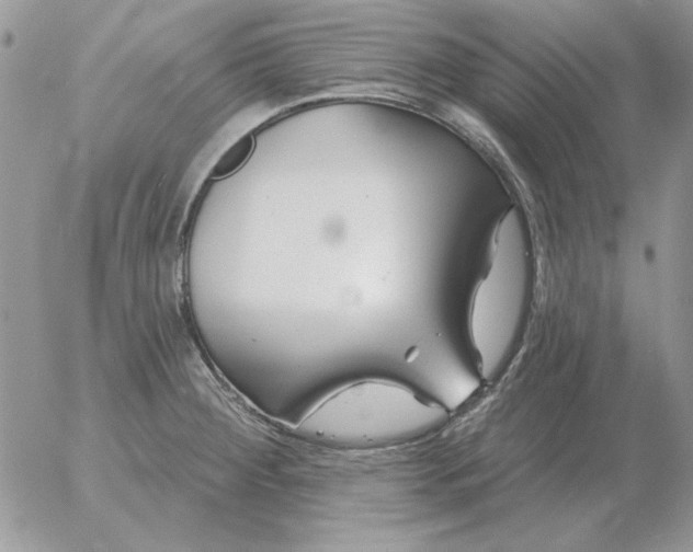 X0000052981284200507221318