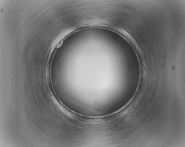 X0000052981285200507221318