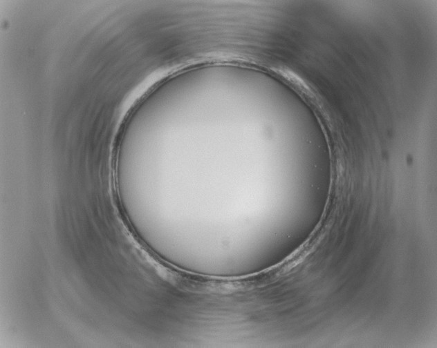 X0000052981286200507221318