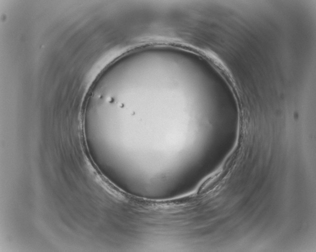 X0000052981287200507221318