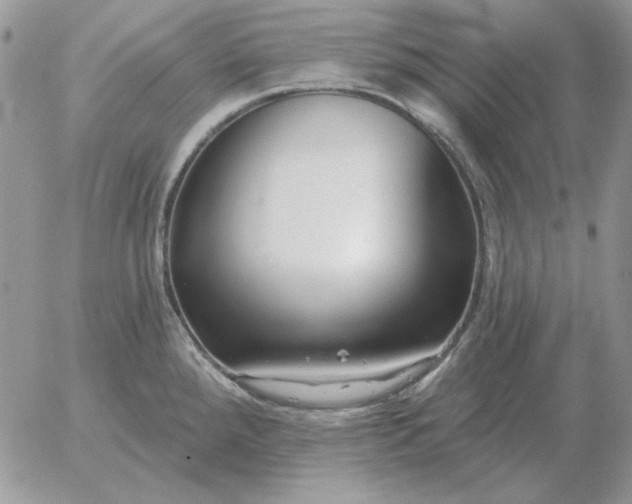 X0000052981288200507221318