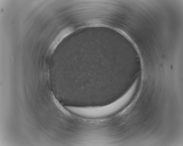 X0000052981289200507221318