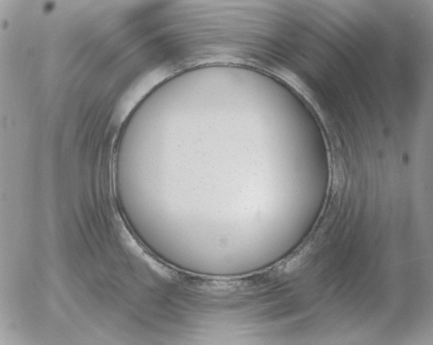 X0000052981290200507221318