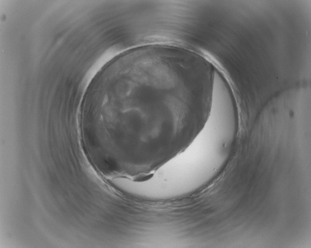 X0000052981291200507221318