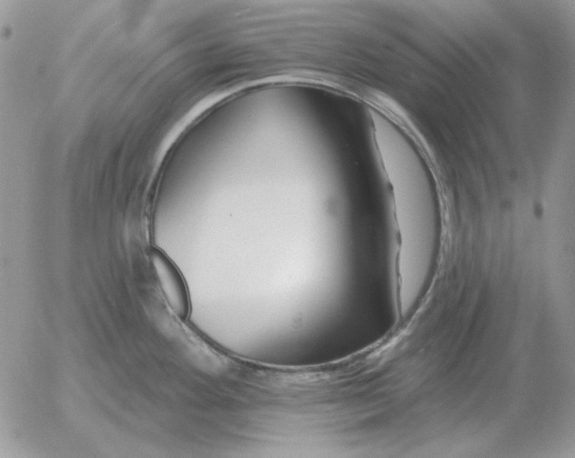 X0000052981292200507221318