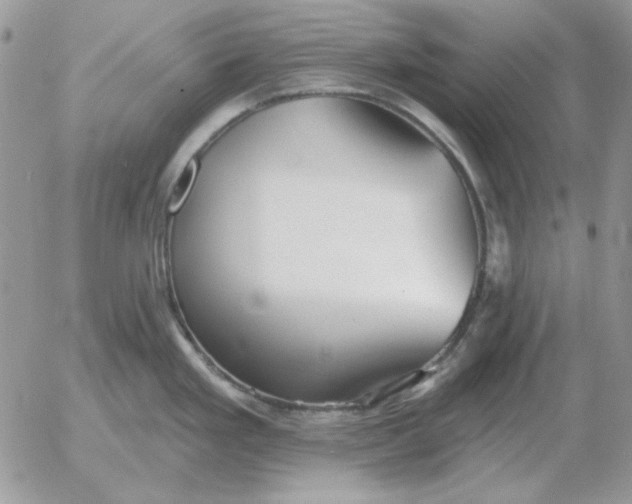 X0000052981293200507221318