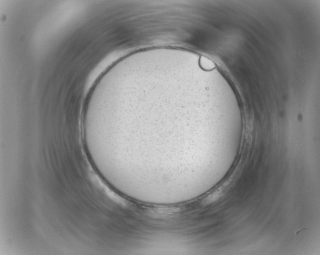 X0000052981294200507221318