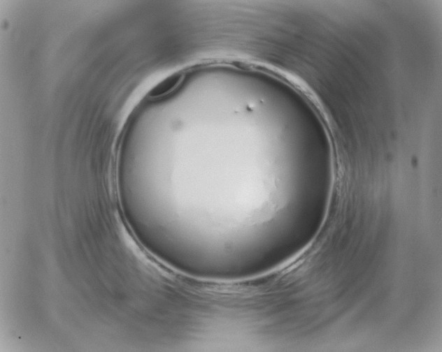 X0000052981295200507221318