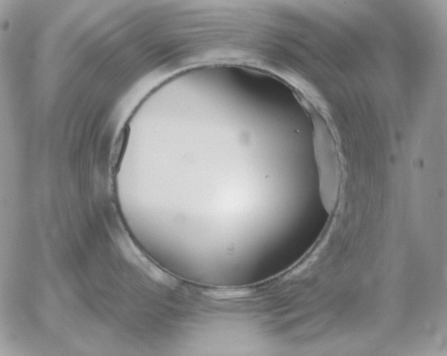 X0000052981296200507221318