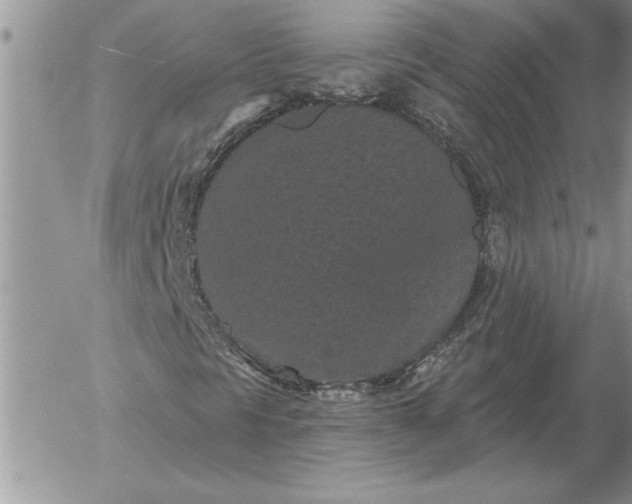 X0000052981297200507221317