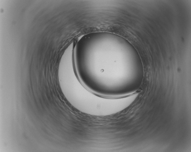 X0000052981298200507221317