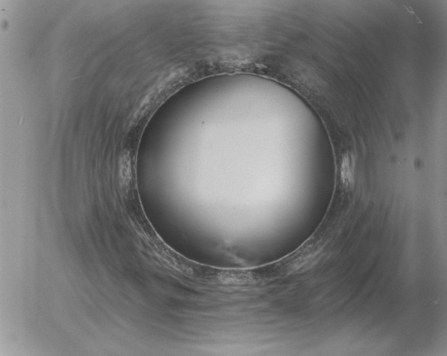 X0000052981299200507221317