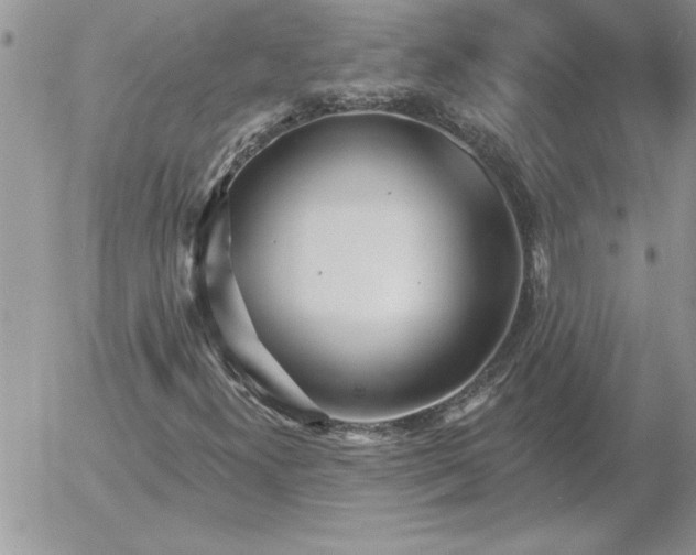 X0000052981300200507221317