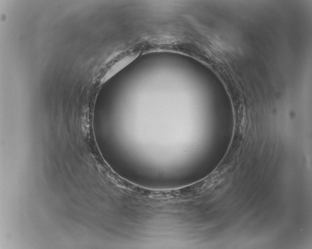 X0000052981301200507221317