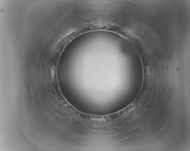 X0000052981302200507221317