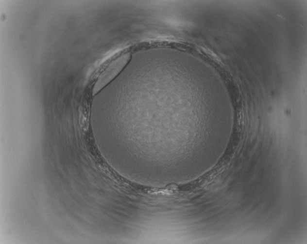 X0000052981303200507221317