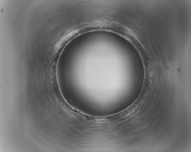 X0000052981304200507221317