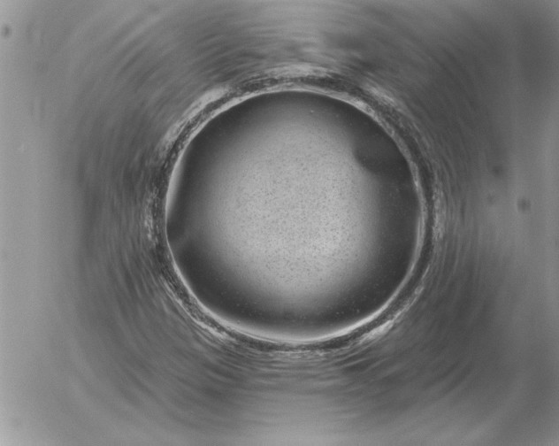 X0000052981305200507221317