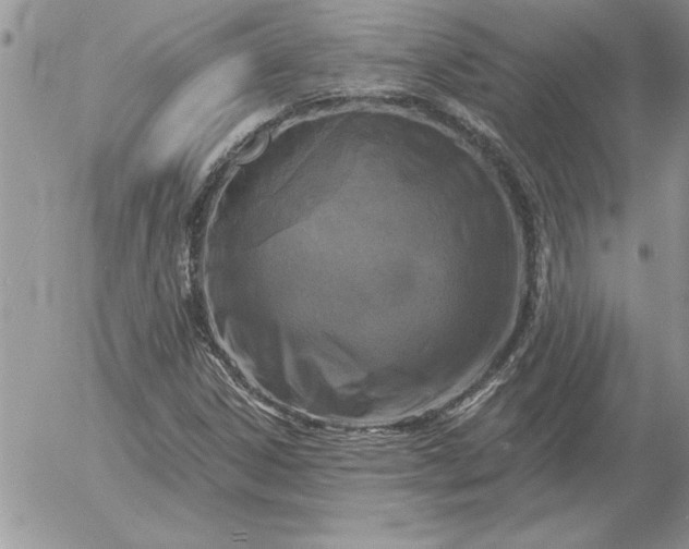 X0000052981306200507221317