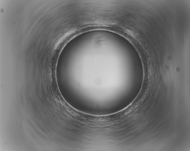 X0000052981307200507221317