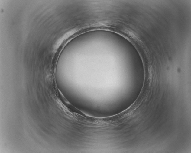 X0000052981308200507221317