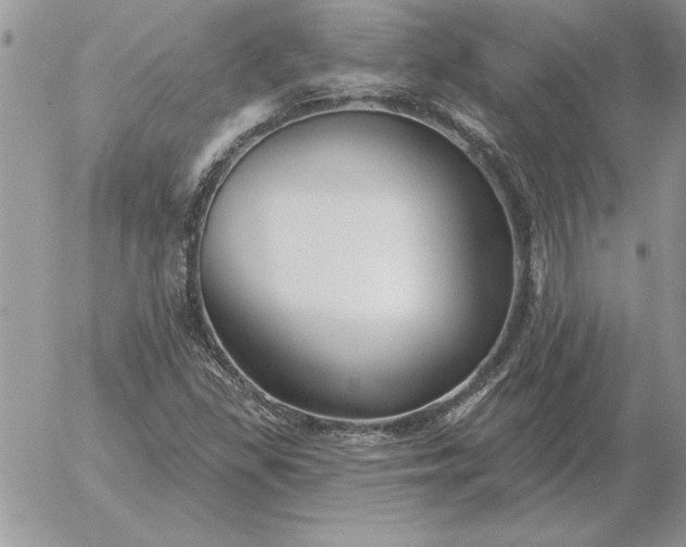 X0000052981309200507221317