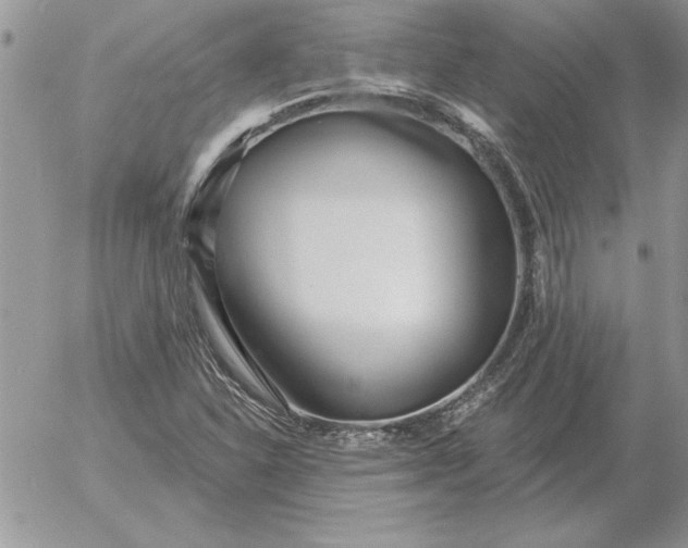 X0000052981310200507221317