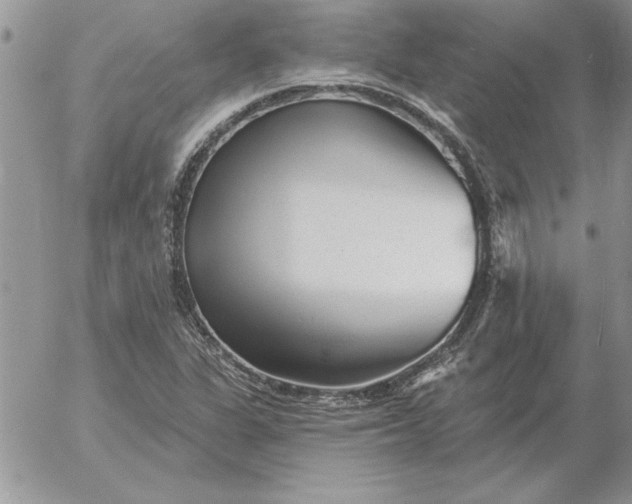 X0000052981311200507221317