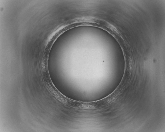 X0000052981312200507221317